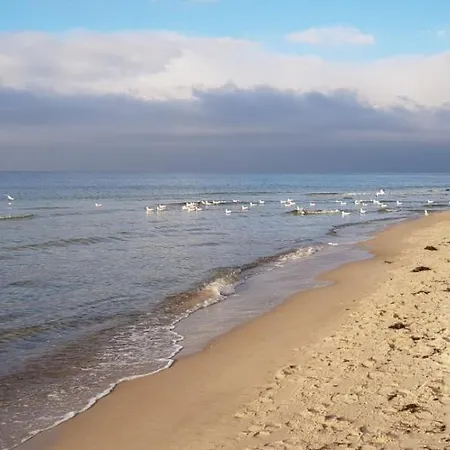 Natur&meer: Im Idyllischen Ahrenshagen