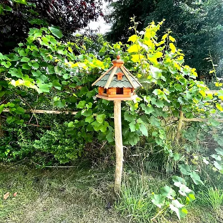 Natur&meer: Im Idyllischen * Ahrenshagen