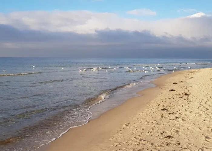 Natur&meer: Im Idyllischen Ahrenshagen