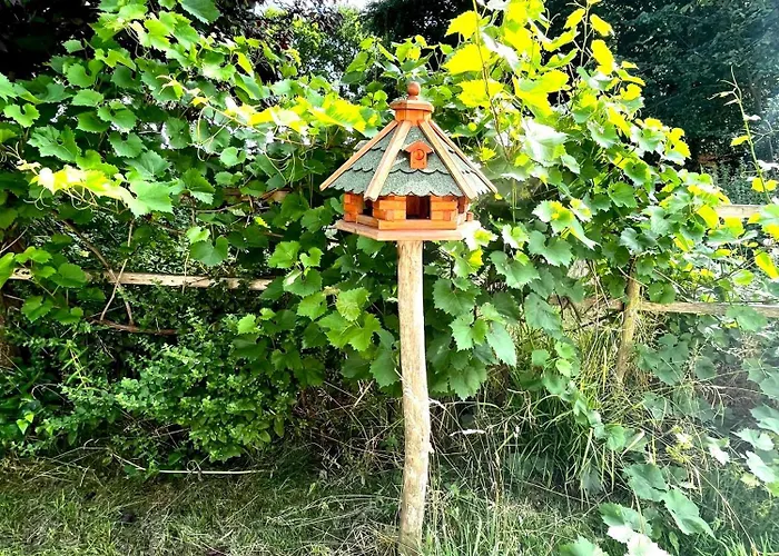 Natur&meer: Im Idyllischen * Ahrenshagen